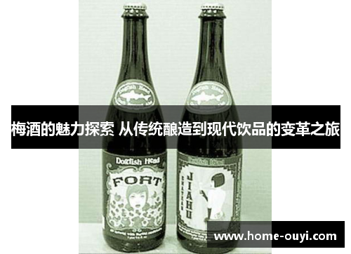 梅酒的魅力探索 从传统酿造到现代饮品的变革之旅