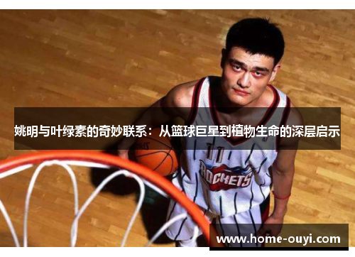 姚明与叶绿素的奇妙联系：从篮球巨星到植物生命的深层启示