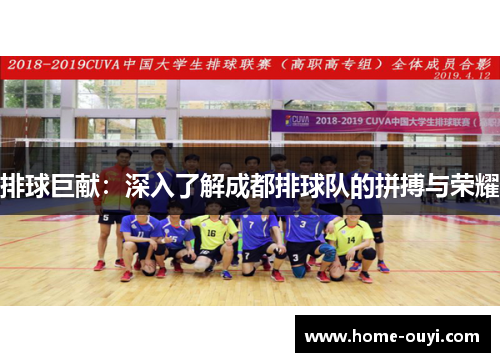 排球巨献：深入了解成都排球队的拼搏与荣耀