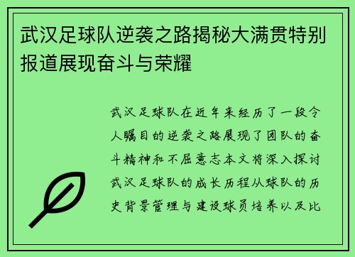 武汉足球队逆袭之路揭秘大满贯特别报道展现奋斗与荣耀